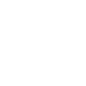 Chiropractic Care Icon